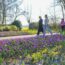 BUS Keukenhof