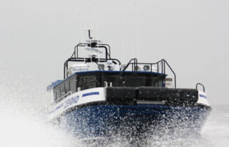 MOB-zeehond