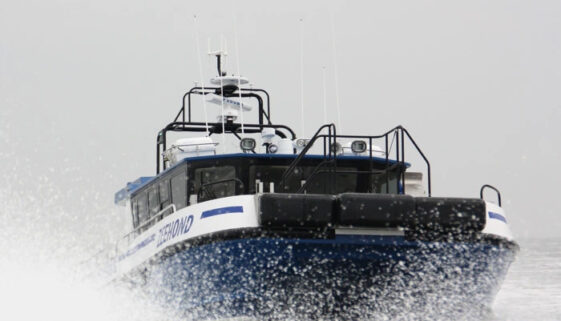 MOB-zeehond