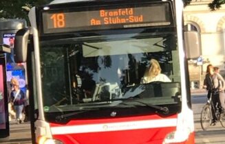 thumbnail_IMG_2423