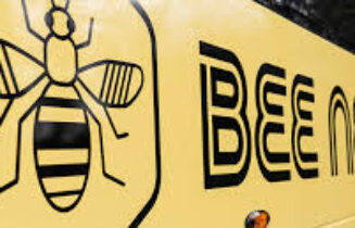 BUS Bee Network