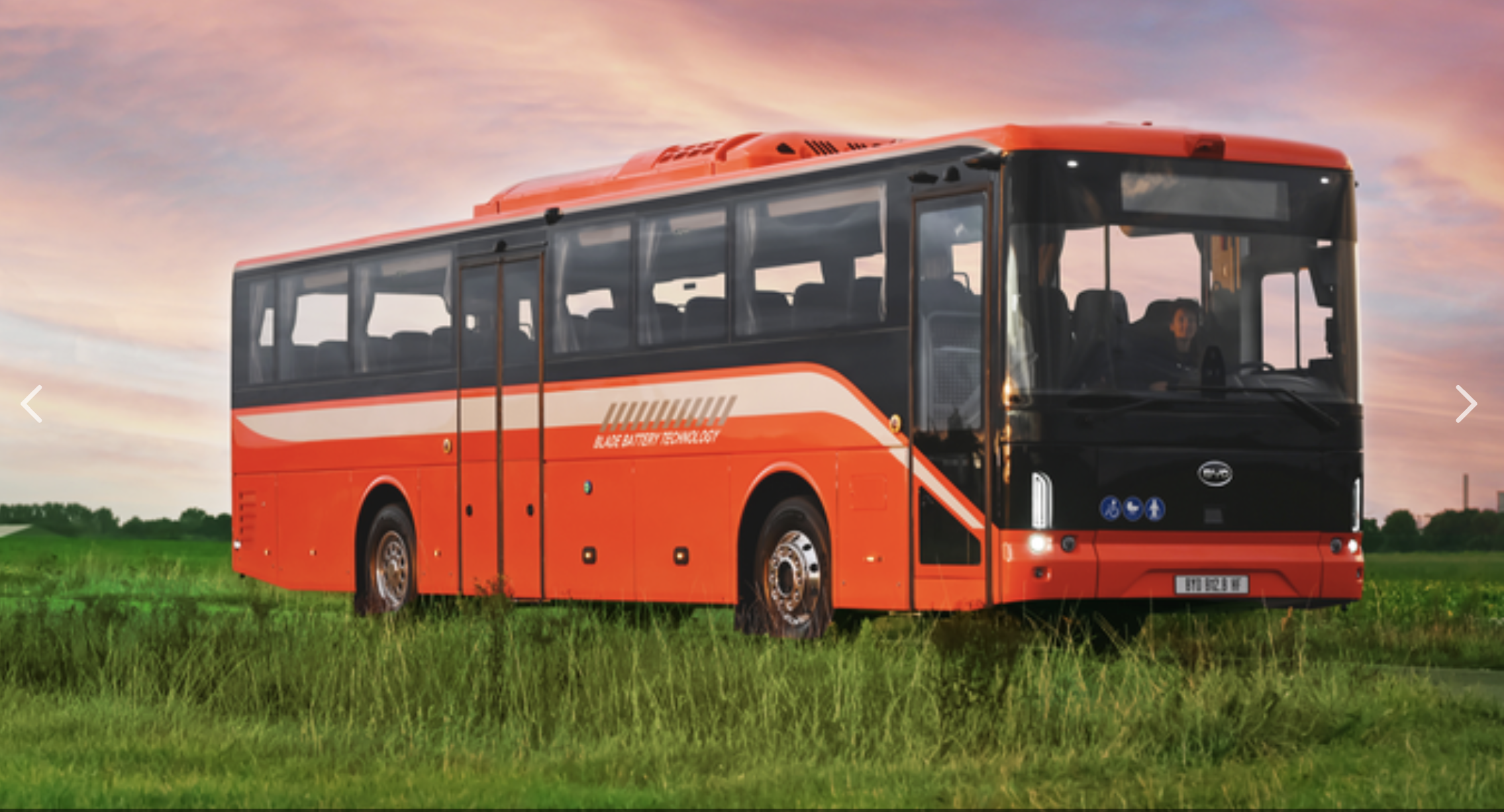 BUS BYD B12 BHF