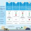 TAXI Infographic