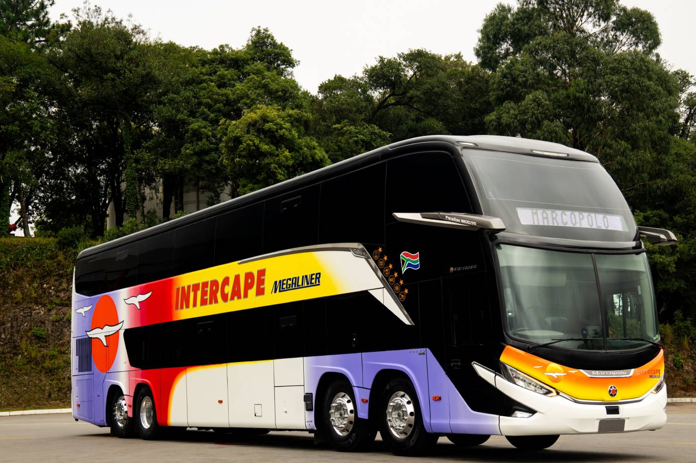 BUS Marcopolo