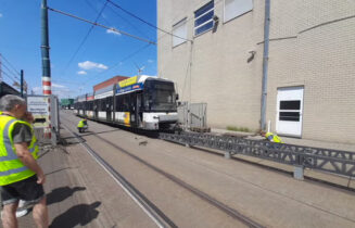 Hermelijn copy
