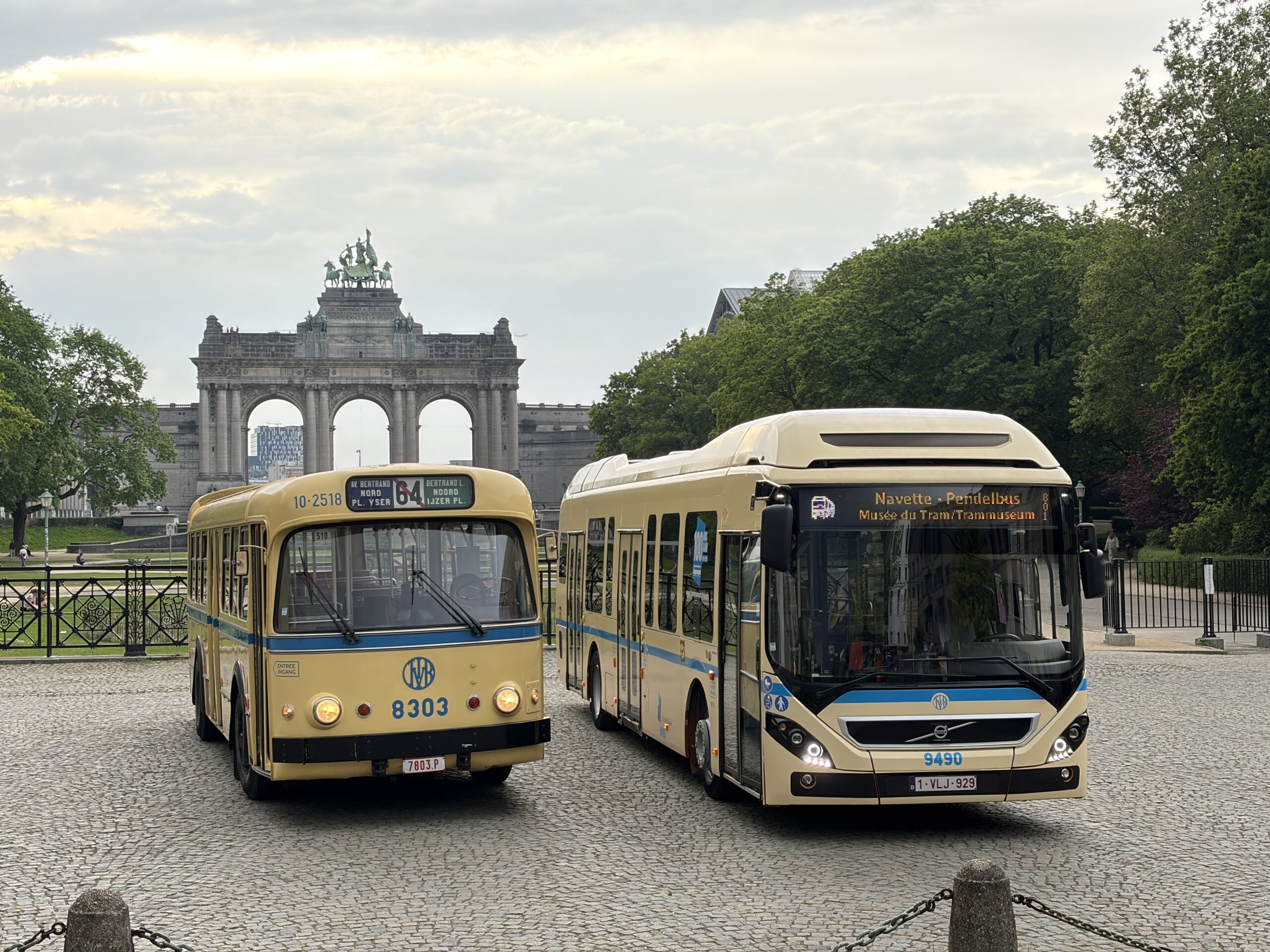BUS 1