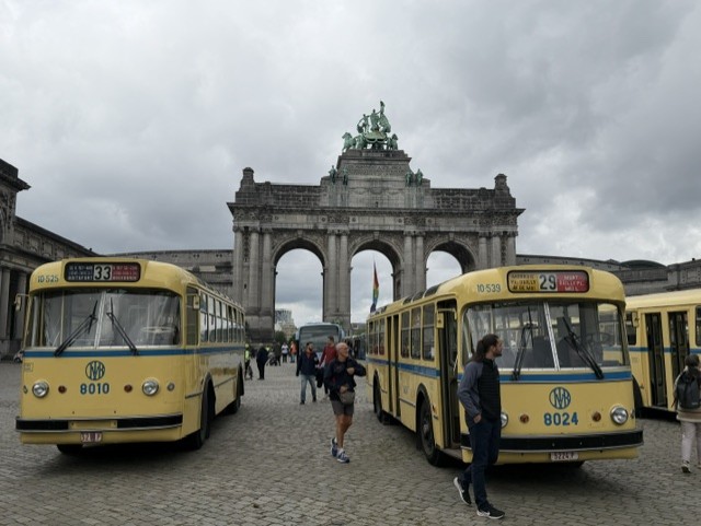 BUS MIVB Jubelpark