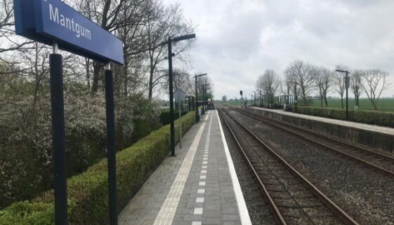 RAIL Mantgum